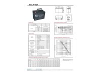 Fullriver HGL AGM 12V 80AH